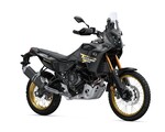 TÉNÉRÉ 700 WORLD RAID