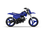 2022 PW50