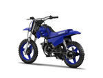 2022 PW50