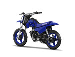 2022 PW50