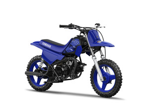 2022 PW50