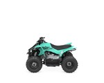 YFZ50R