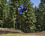YZ450F