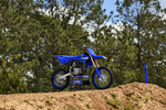 YZ85LW
