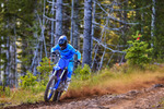 YZ250X