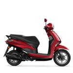 D’ELIGHT 125
