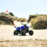 YFM90R RAPTOR 90