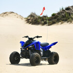YFM90R RAPTOR 90