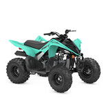 YFM90R RAPTOR 90
